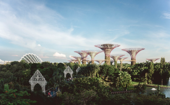 A view of the Gardens by the Bay in Singapore